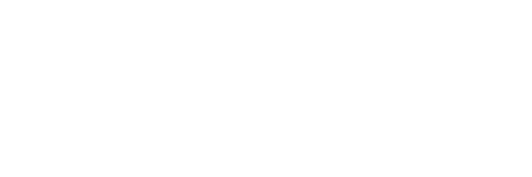 Students Fare Travel Logo