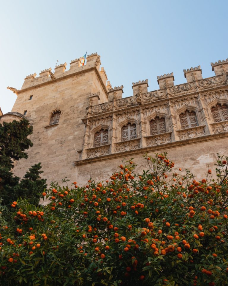 Travel to see the architecture of Valencia, Spain.