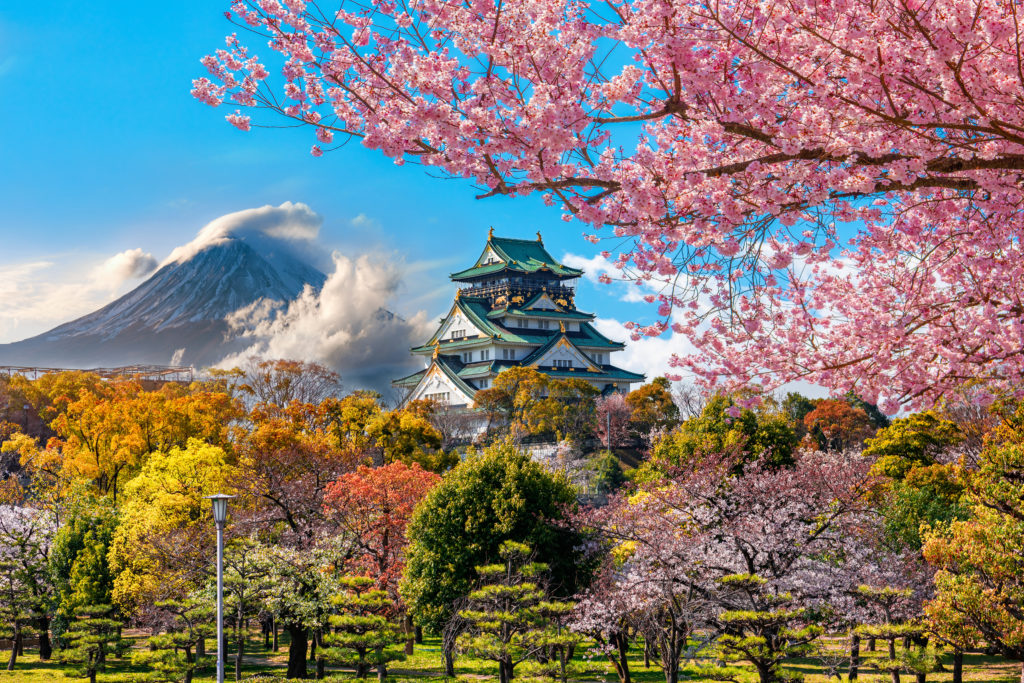 A landscape photo of Japan capturing pink cherry blossom trees, trees with fall leaves, a large temple, and the legendary mount fuji. This image is featured in the Students Fare article about student travel called top fall break destinations.