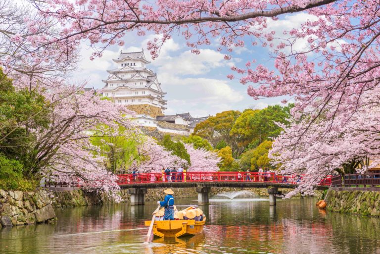 A wide shot of a traditional Japanese boat in a small river passing under a red wooden bridge, with the tall white Himeji Castle in the distance, framed by branches of beautiful pink cherry blossoms, or Sakura. This image is used in the Students Fare student travel blog to list the top spring break destinations for college students in 2023!