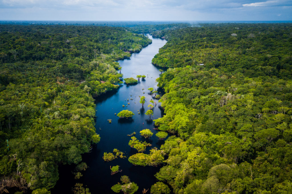 Featured in the Students Fare article, "Volunteering At The Amazon ," this image shows the Amazon river basin.