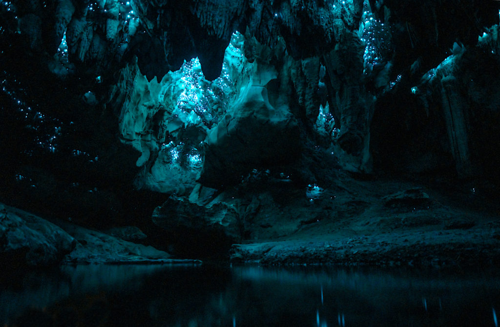 Featured in Students Fare's blog article "Top Cave Explorations for Your Class," which shows "Waipu Cave" Glowworm cave