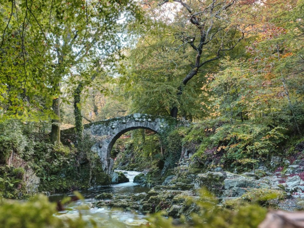 A student traveler's tour of Foley's Bridge over the Shimna River in Tollymore Forest Park in County Down, Ireland.